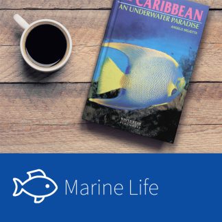 Marine Life