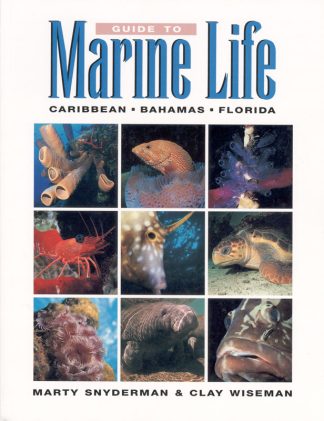 Guide to Marine Life