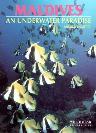 Maldives An Underwater Paradise
