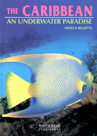 The Caribbean an Underwater Paradise