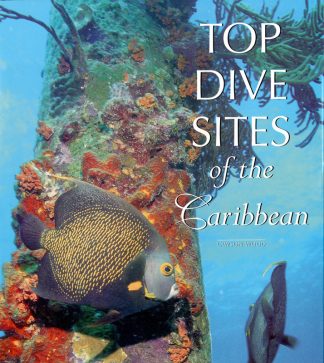 Top Dive Sites of the Caribbean