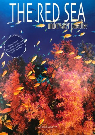 The Red Sea Underwater Paradise